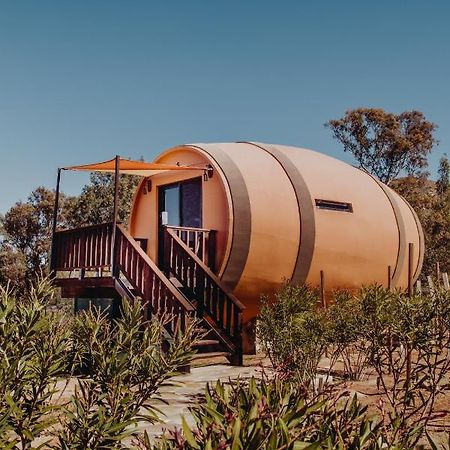 Finca El Mirador Otel Valle de Guadalupe Dış mekan fotoğraf