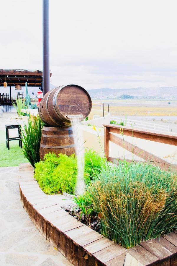 Finca El Mirador Otel Valle de Guadalupe Dış mekan fotoğraf