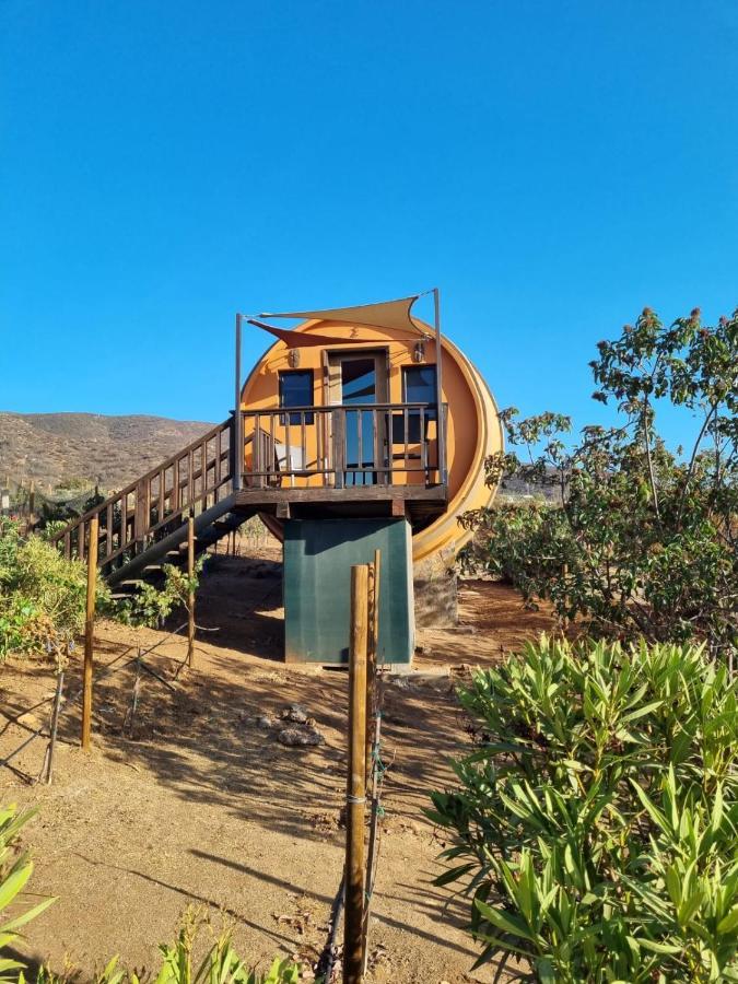 Finca El Mirador Otel Valle de Guadalupe Dış mekan fotoğraf