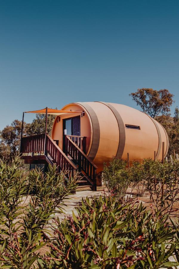 Finca El Mirador Otel Valle de Guadalupe Dış mekan fotoğraf