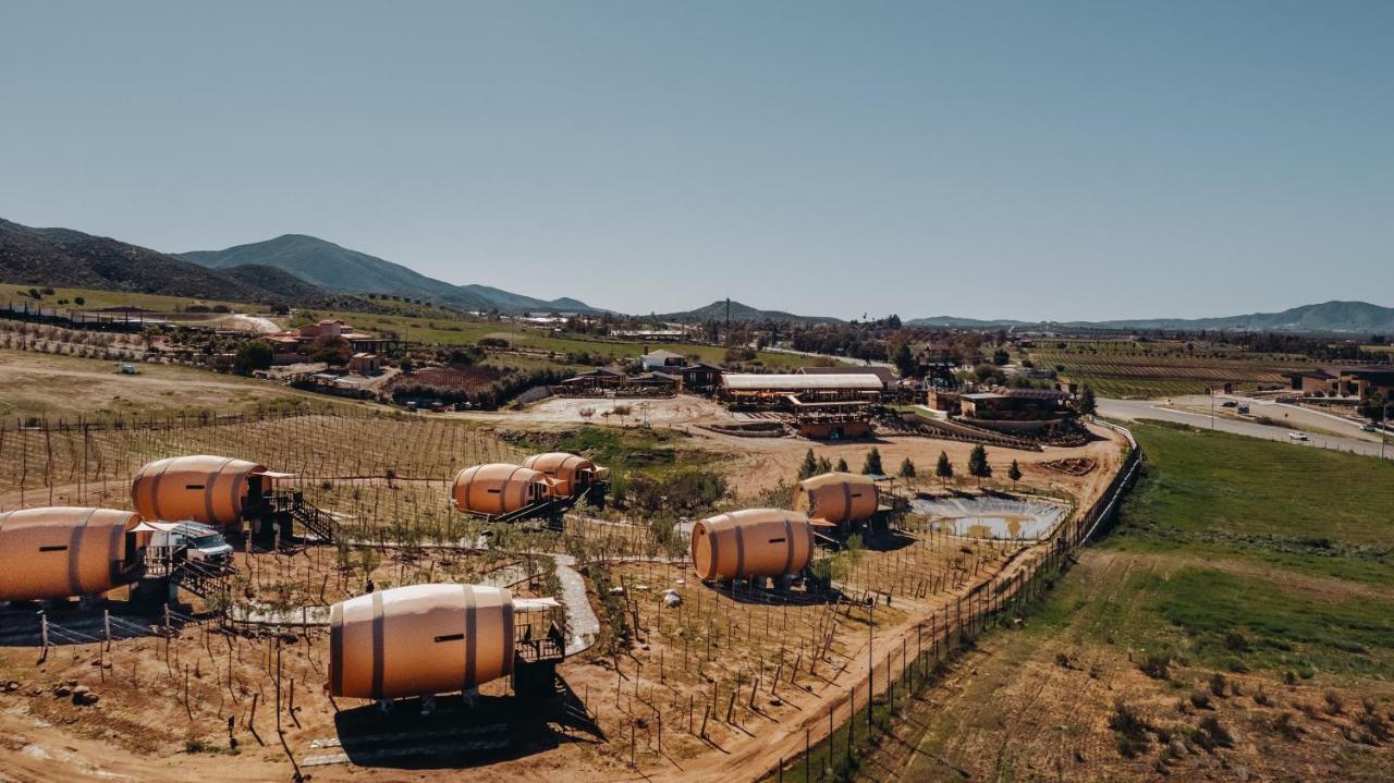 Finca El Mirador Otel Valle de Guadalupe Dış mekan fotoğraf