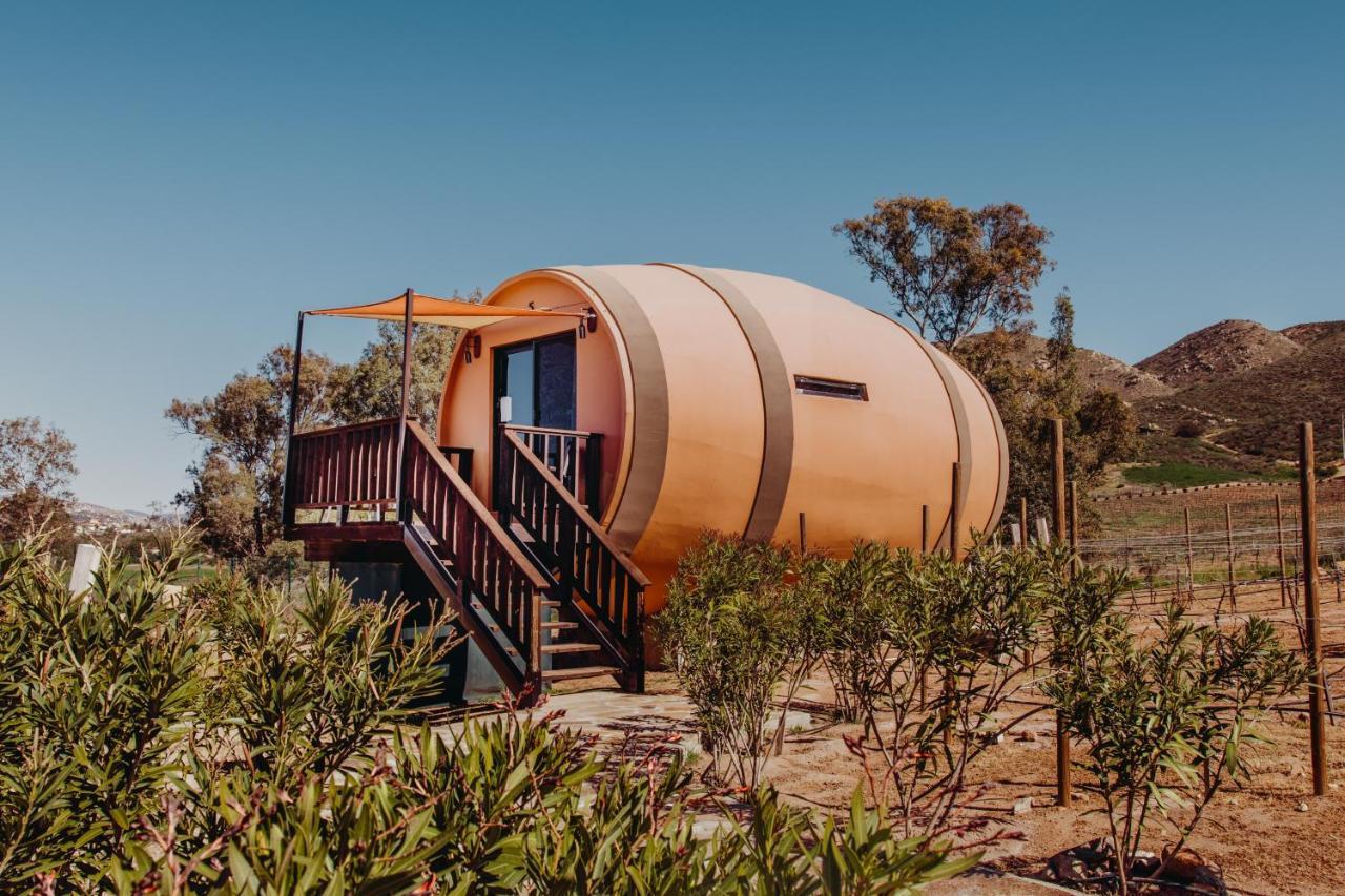 Finca El Mirador Otel Valle de Guadalupe Dış mekan fotoğraf