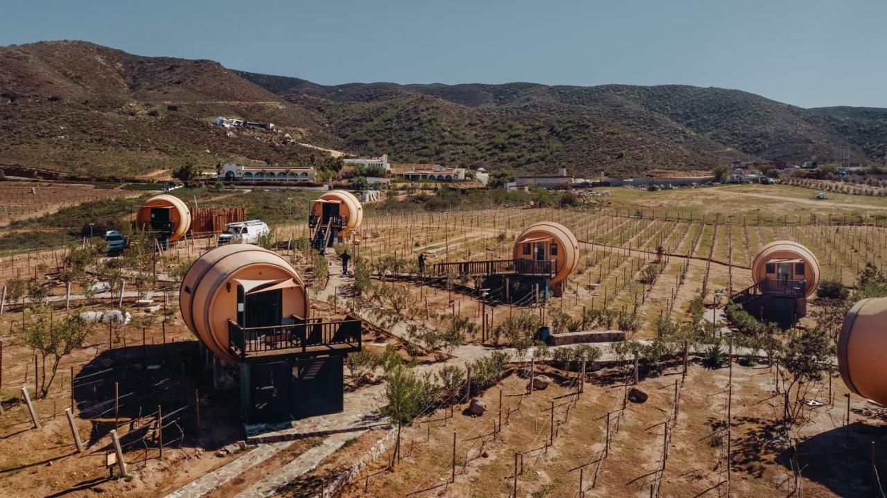 Finca El Mirador Otel Valle de Guadalupe Dış mekan fotoğraf