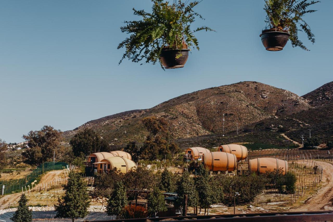 Finca El Mirador Otel Valle de Guadalupe Dış mekan fotoğraf